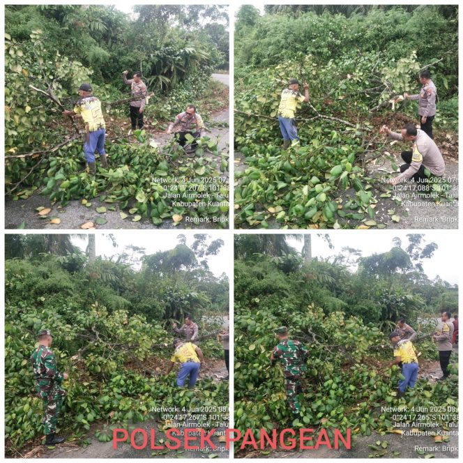 
					TNI-POLRI dan Warga Bersatu Bersihkan Jalan dari Pohon Tumbang di Desa Sako, Kecamatan Pangean