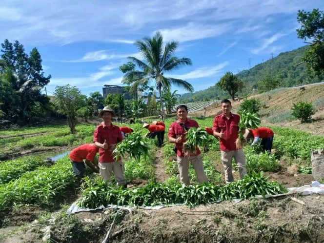 
					Lapas Kelas IIB Padangsidempuan Panen Perdana, Berbagi dengan Masyarakat dari Program Ketapang