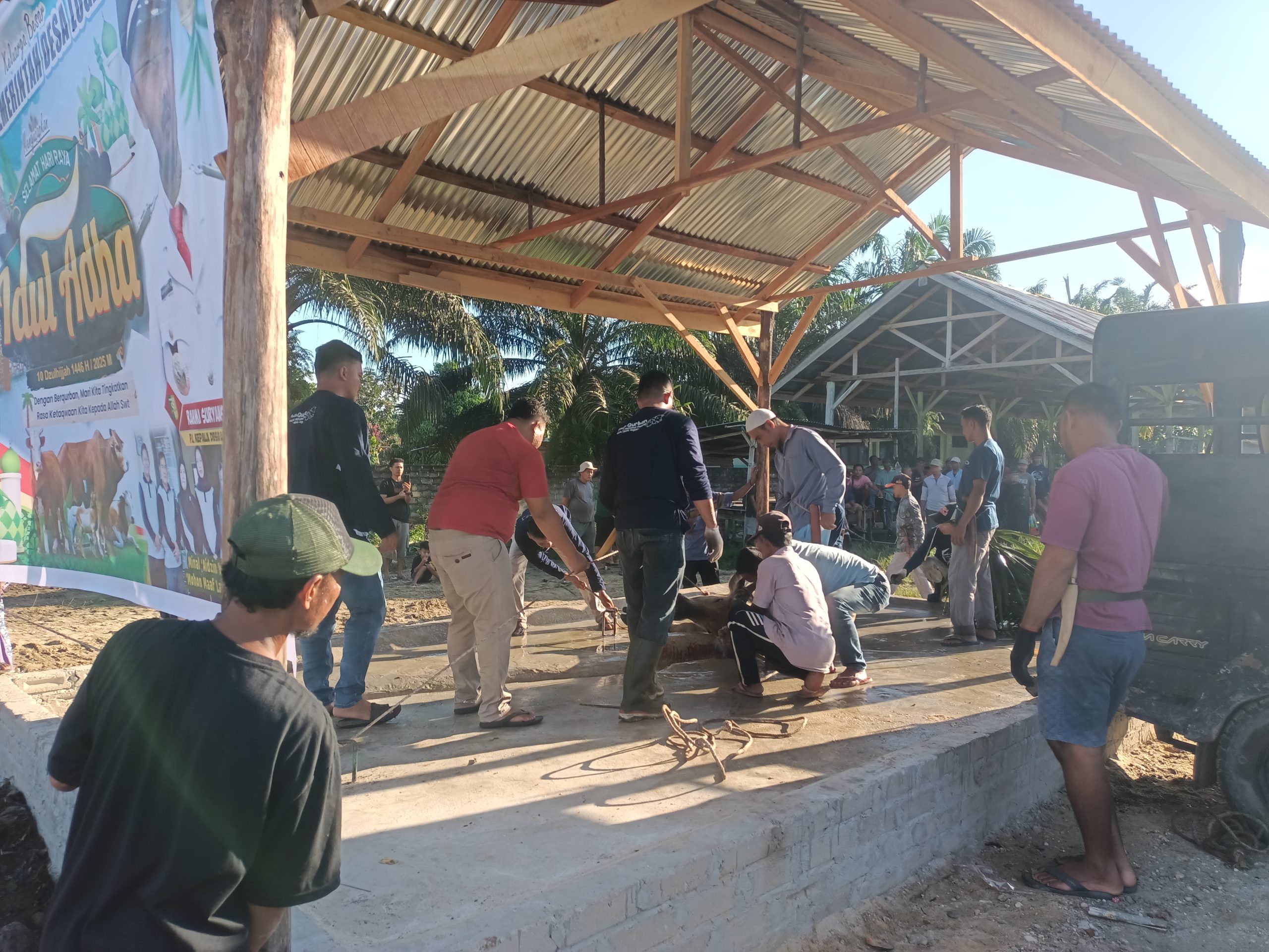 Meriahkan Idul Adha 1446 H, Desa Logas Laksanakan Penyembelihan 28 Ekor Hewan Kurban
