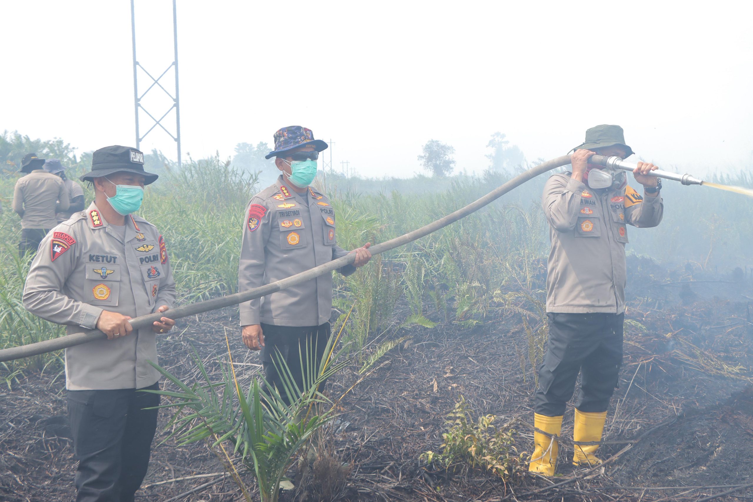 Padamkan Karhutla Dir Polair, Dansat Brimob dan Kapolres Pimpin Aksi