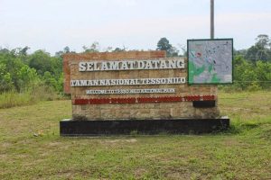 Tinjau Ulang Himbauan Relokasi Mandiri Pada Kawasan Taman Nasional Tesso Nilo, Berikut Penjelasan Komnasham