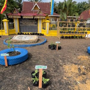 Tanaman Obat KKN Universitas Hang Tuah Pekanbaru 