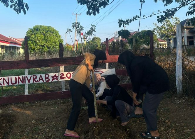
					Mahasiswa KKN Universitas Abdurab Laksanakan Proker Besar Penanaman Toga di Desa Beringin Taluk