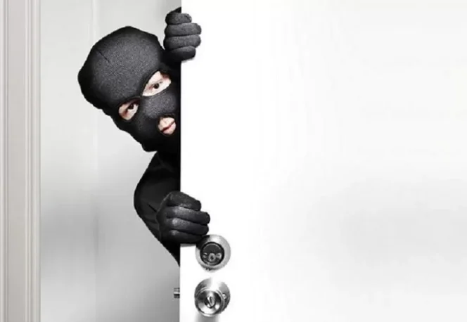 
					Sudah Dua Hari Masyarakat Desa Padang Tanggung dan Teluk Pauh Dihantui Maling, Pihak Kepolisian Diharap Segera Bertindak