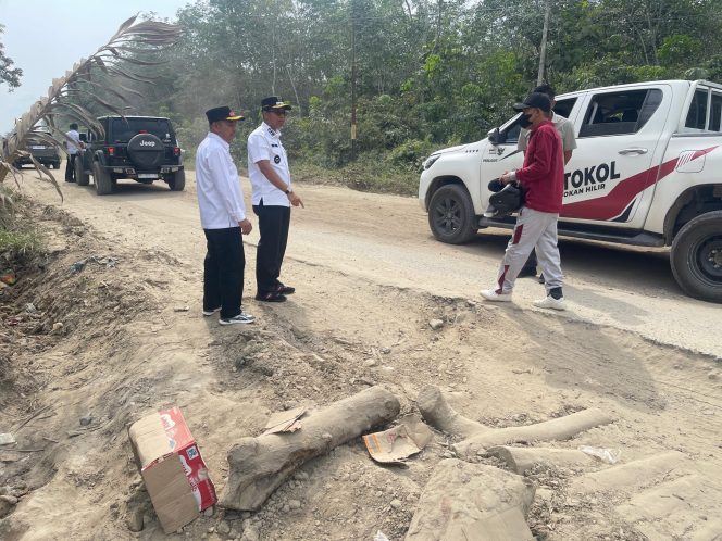 
					Tinjau Jalan Lintas Menggala Jhonson – Pujud, Wabup Rohil Desak PUPR Provinsi Segera Bertindak