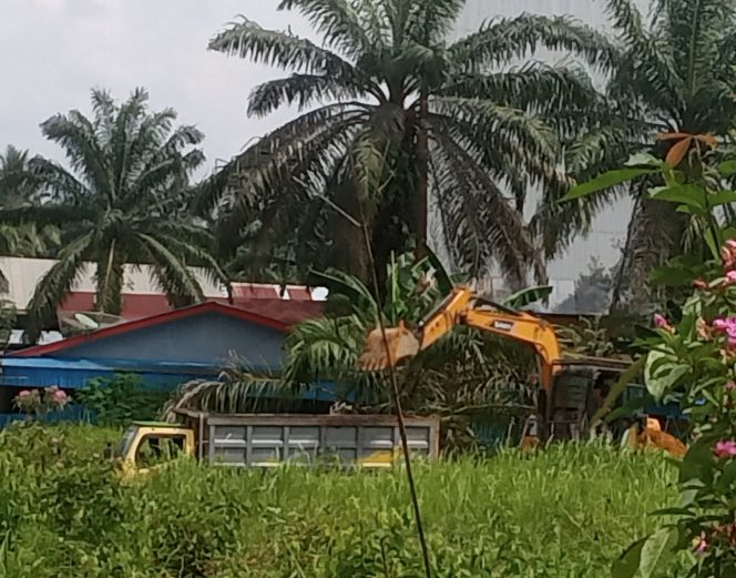 
					Polsek Bagan Sinembah Diminta Segera Tertibkan Mobil Angkutan Tanah Timbun dan Galian C, yang diduga Tanpa Ijin