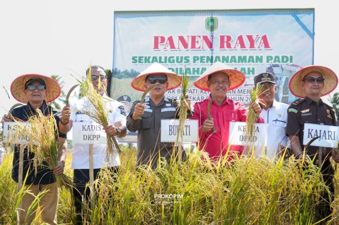 
					Panen Padi di Meranti Meningkat, Produksi Tembus 6.000 Ton per Tahun