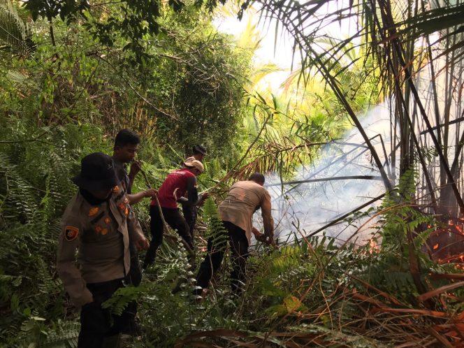 
					Polres Meranti Gerak Cepat Padamkan Karhutla di Desa Insit, Call Center 110 Jadi Pintu Laporan Warga