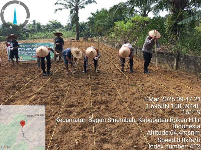 
					Tanam Jagung di Lahan 2 Hektar, Polsek Bagan Sinembah Dukung Asta Cita Presiden RI