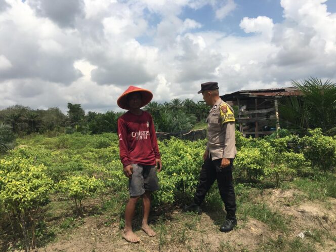 
					Dukung Asta Cita Presiden, Polsek Singingi Cek Lahan Pekarangan Bergizi Tanaman Cabai di Logas Hilir