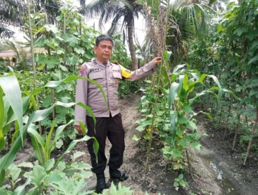 Sinergi Polri dan Warga: Polsek Singingi Tinjau Pekarangan Bergizi di Muara Lembu Guna Dukung Asta Cita Presiden