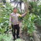 Sinergi Polri dan Warga: Polsek Singingi Tinjau Pekarangan Bergizi di Muara Lembu Guna Dukung Asta Cita Presiden