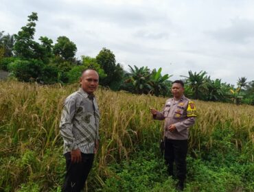 Dukung Asta Cita Presiden, Polsek Singingi Cek Lahan Padi Gogo di Desa Petai Baru
