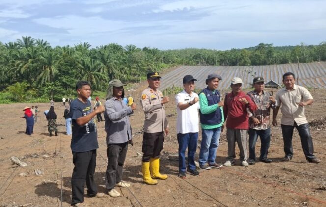 
					Polsek Tambusai Dukung Program Ketahanan Pangan Prabowo 