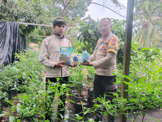 
					Dukung Ketahanan Pangan, Polsek Rangsang Barat Salurkan Pupuk pada Petani Cabe