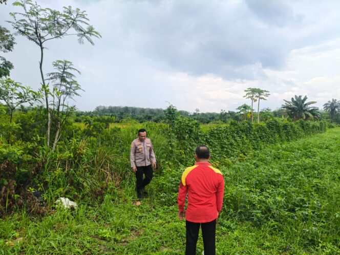 
					Polsek Rengat Barat Tinjau Lahan Ajak Petani Tanam Jagung Pipil, Dukung Ketahanan Pangan