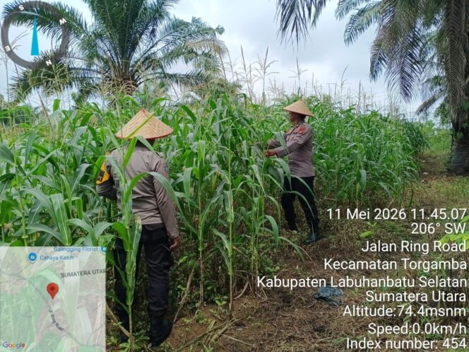 
					Cek Lahan Ketapang Polsek Bagan Sinembah Dukung Program Asta Cita Presiden RI