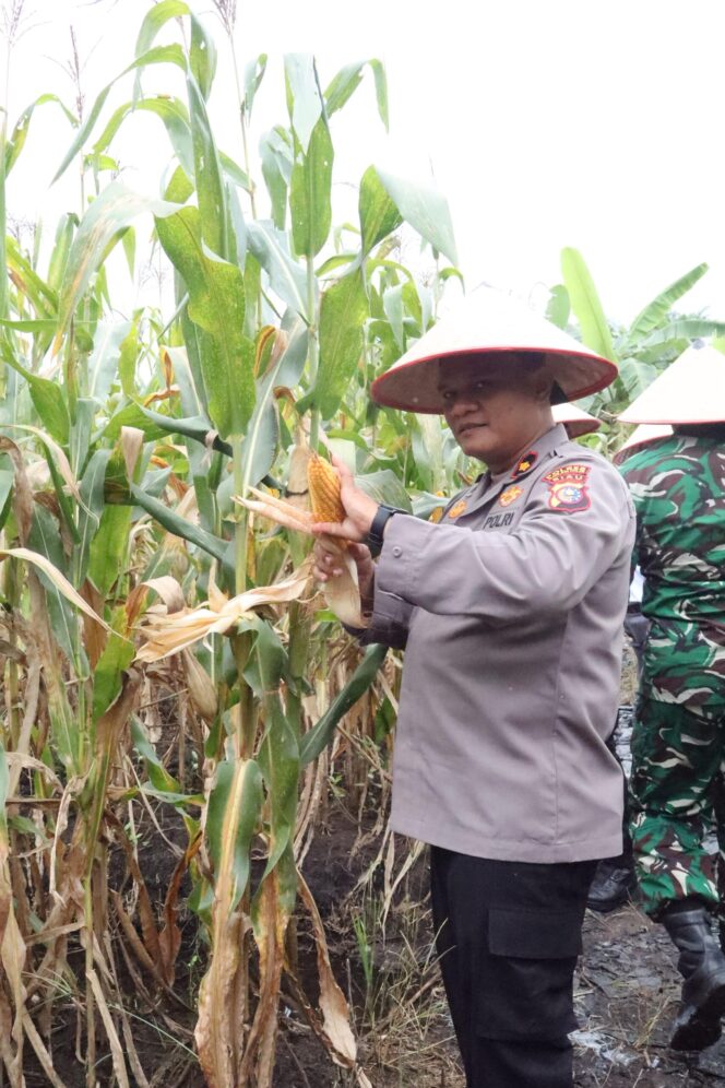 
					Panen Raya Serentak Kuartal II, Polres Rohil Dukung Asta Cita Presiden