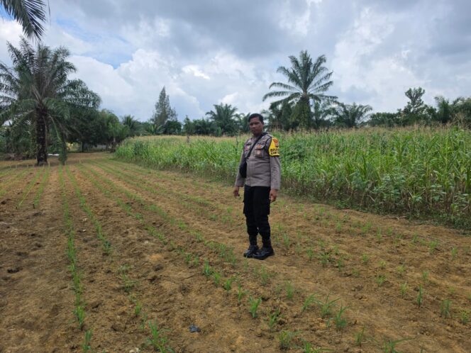 
					Tancap Gas Dukung Asta Cita Presiden, Polsek Bagan Sinembah Cek Lahan Ketapang
