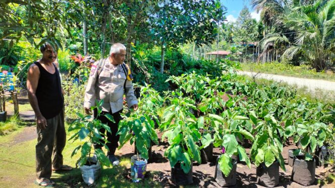 
					Wujud Ketahanan Pangan, Bhabinkamtibmas Desa Anak Setatah Tinjau Lahan Pangan Bergizi