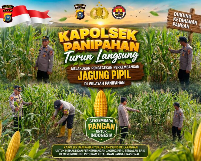 
					Pantau Perkembangan Jagung Pipil, Kapolsek Panipahan IPTU Subiarto A. Tampubolon, S.H., M.H. Pimpin Pengecekan