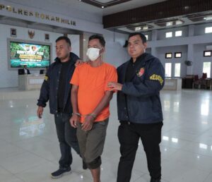 Tebang Mangrove Tanpa Ijin, Satreskrim Polres Rohil Ungkap Kasus Perambahan Hutan