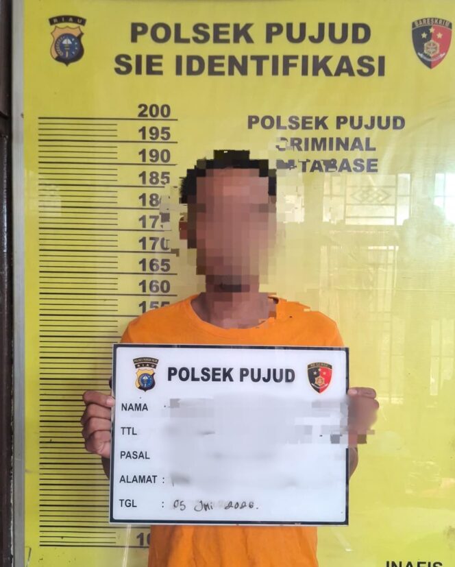 
					Tindak Persetubuhan Anak Dibawah Umur Polsek Pujud Amankan Terduga Pelaku