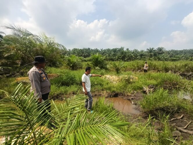 
					Giat Patroli dan Himbauan, Polsek Simpang Kanan Antisipasi Karhutla di Wilayah Hukum