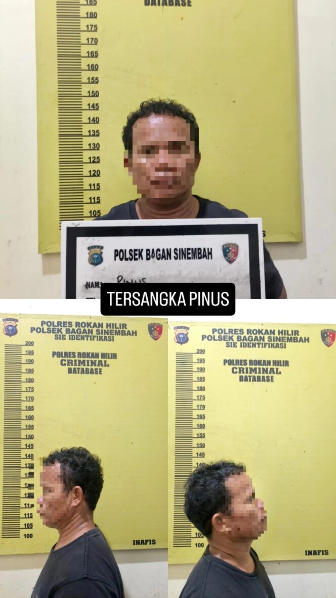
					Sita Sabu Seberat 4,44 Gram Polsek Bagan Sinembah Gerebek Rumah di Kebun Sawit