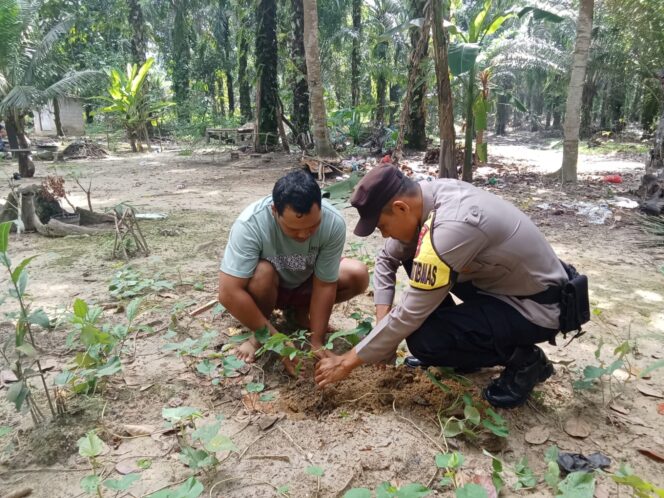 
					Tak Hanya Jaga Keamanan, Polsek Simpang Kanan Turun Tangan Hijaukan Bumi