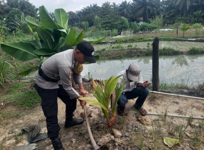 
					Halaman Rumahmu Jadi Benteng Hijau, Polsek Simpang kanan Giat Tanam Pohon