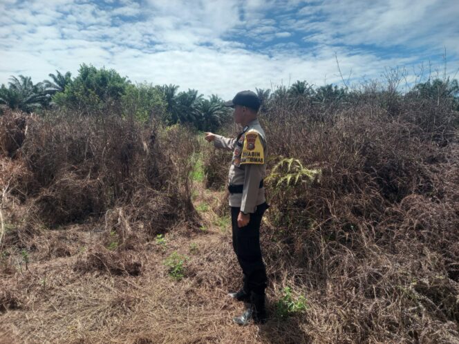 
					Polisi Giat Patroli dan Himbauan Antisipasi Karhutla, di Wilayah Hukum Polsek Simpang Kanan