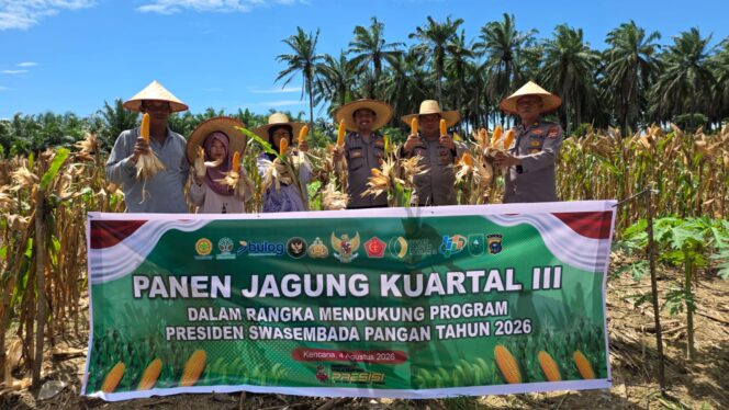 
					Perkuat Program Ketahanan Pangan, Polsek Bagan Sinembah Panen Jagung Binaan Hasil Melinpah