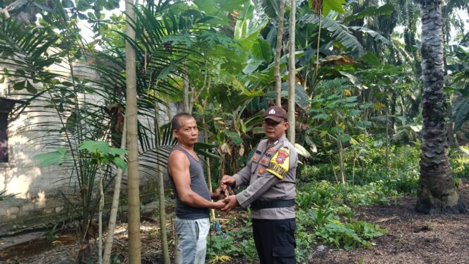 
					Siapkan Halaman Rumah Dengan Green Policing, Polsek Simpang Kanan: Jadi Benteng Hijau