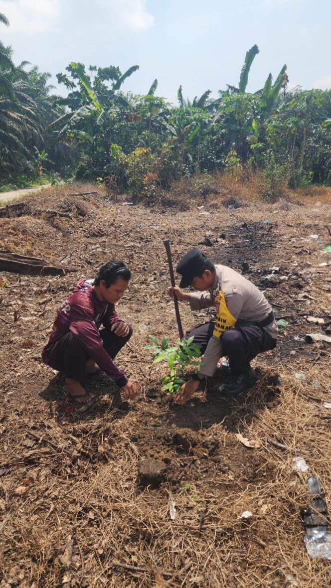 
					Green Policing Hijaukan Halaman, Polsek Simpang Kanan Cegah Bencana dari Sekarang