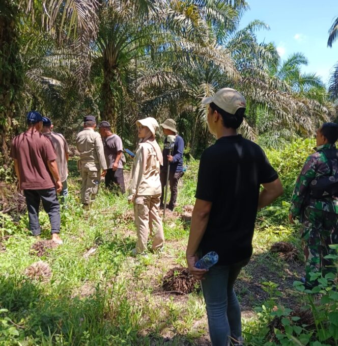 
					Diduga Kuasai dan Panen Sawit Milik Orang Lain, Warga Kuansing Tempuh Jalur Hukum, Laporan Resmi Masuk Polda Riau