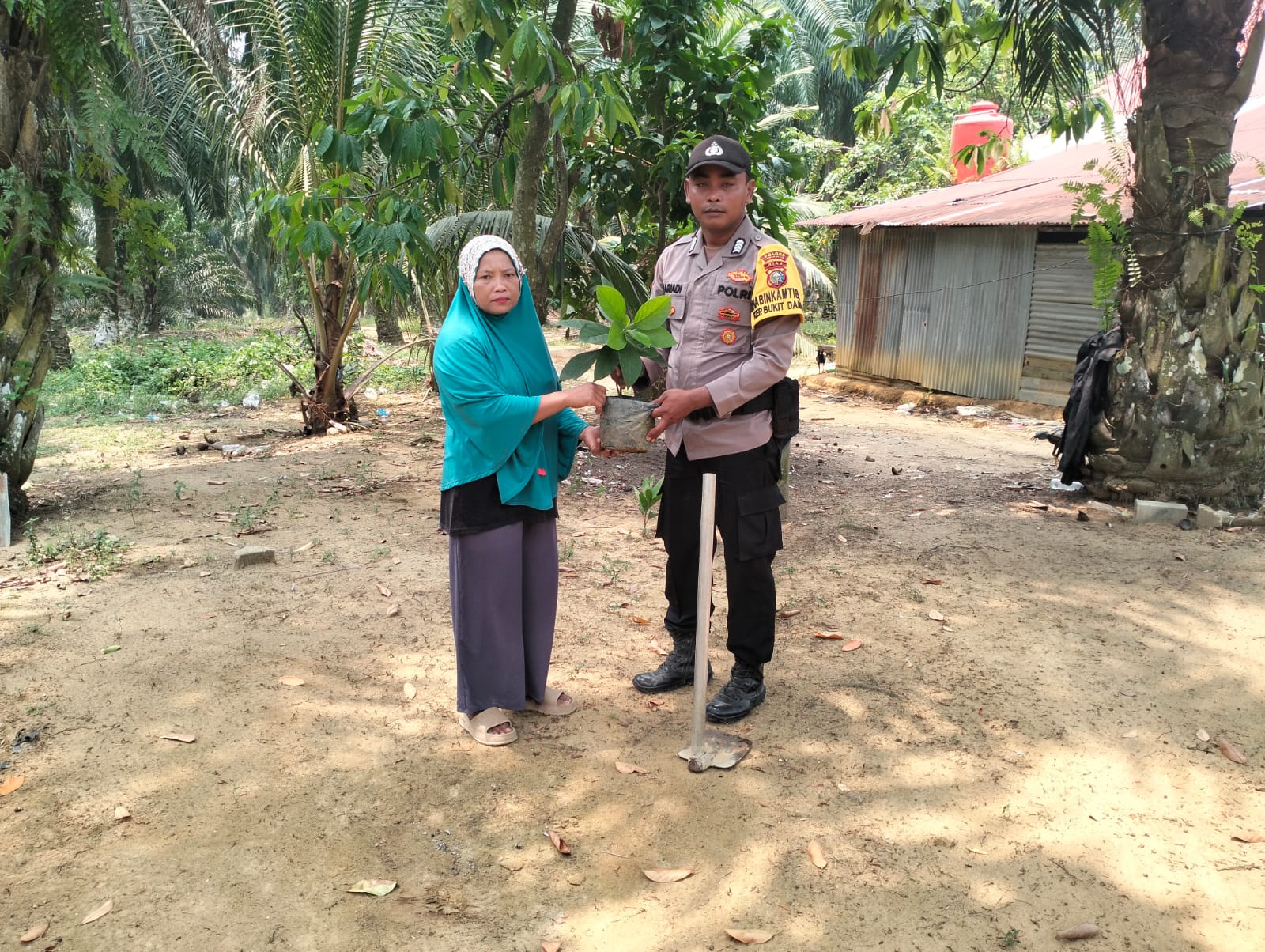Wujud Polisi Ramah Lingkungan, Polsek Simpang Kanan Tanam Pohon di Halaman Rumah Warga