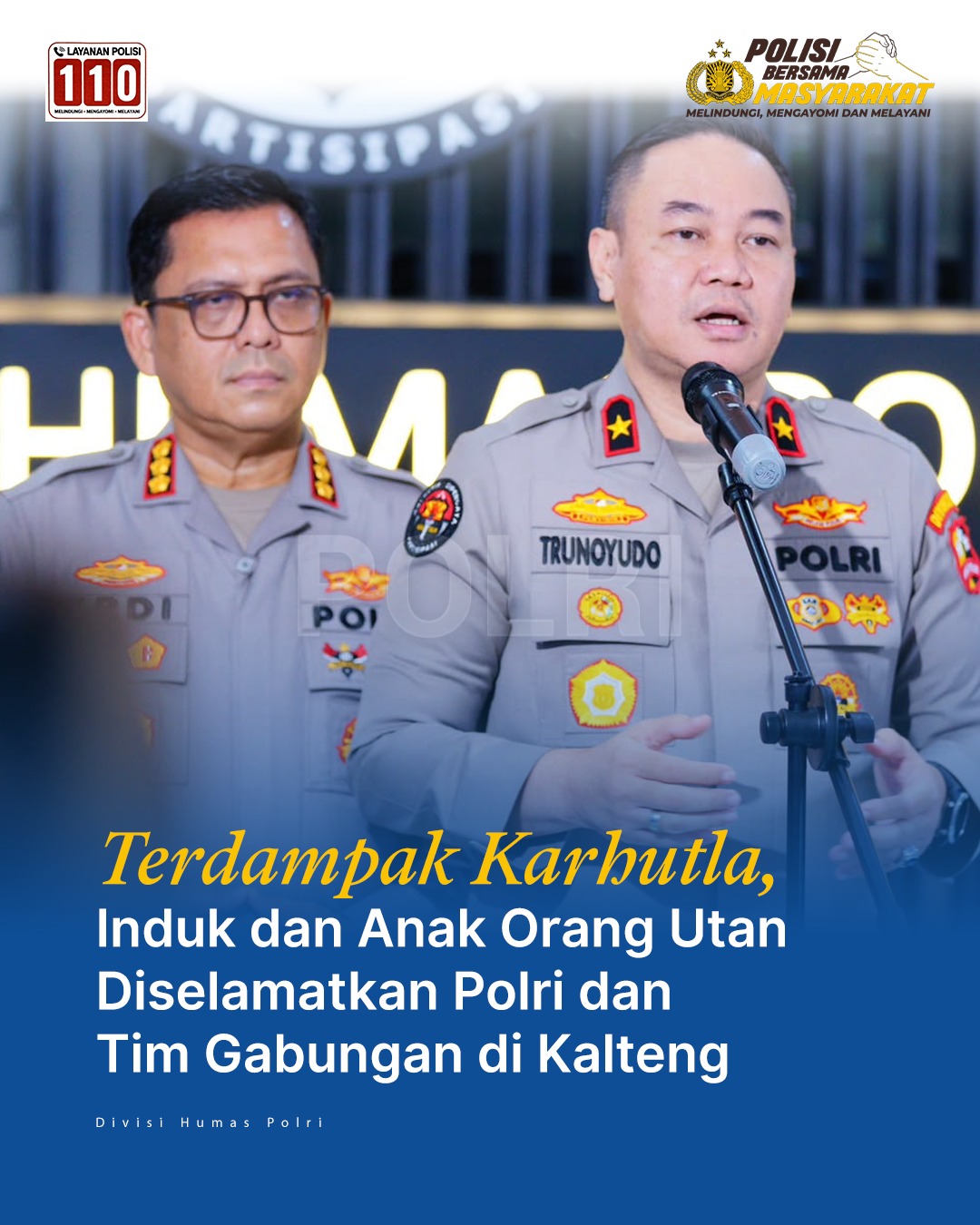 Tim Gabungan Selamatkan Induk dan Anak Orang Utan Alami Luka Jerat Butuh