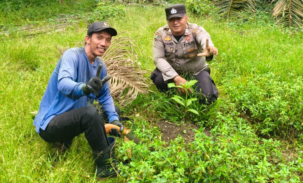 Green Policing, Polsek Simpang Kanan Giat Sosialisasi Tanam Pohon di Pekarangan Rumah